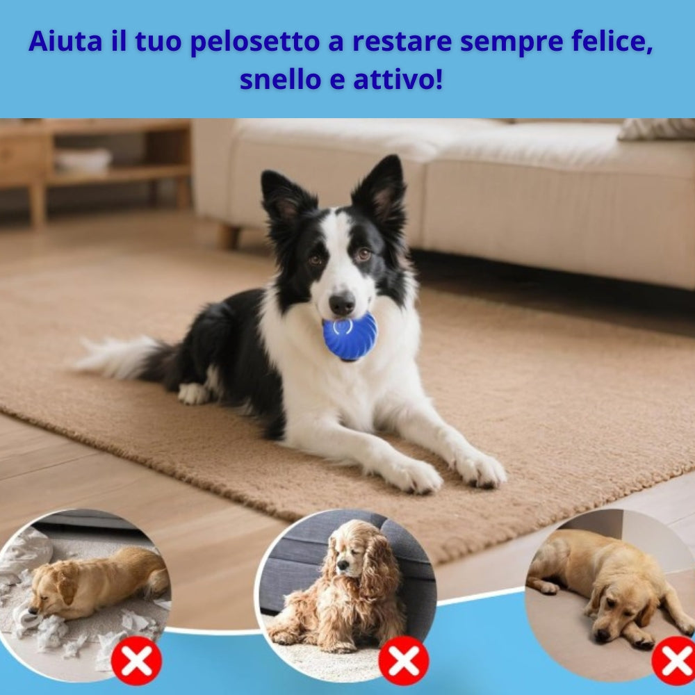 Palla giocattolo automatica per cani