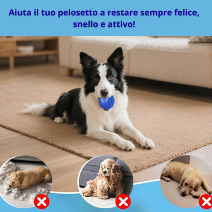 Palla giocattolo automatica per cani