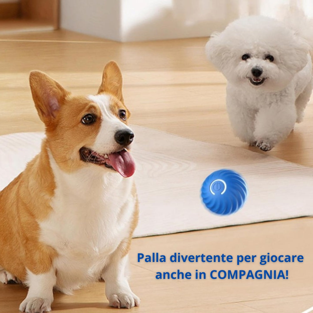 Palla giocattolo automatica per cani