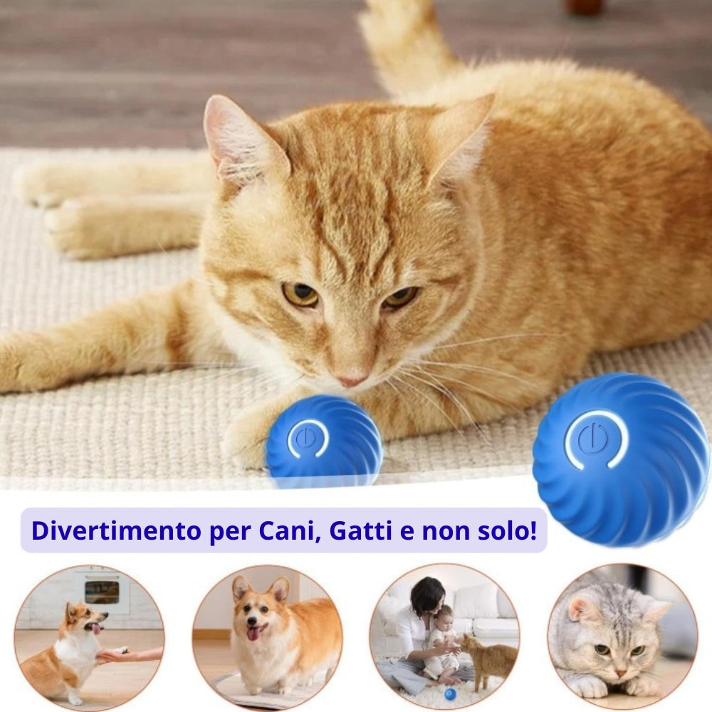 Palla giocattolo automatica per cani