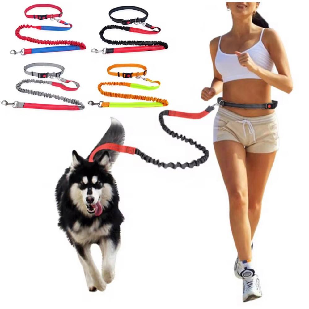Guinzaglio per cani per la corsa