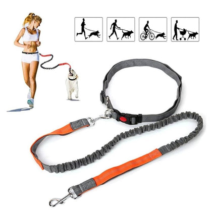 Guinzaglio per cani per la corsa