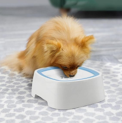 Ciotola per l'acqua per animali, senza fuoriuscite