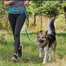 Guinzaglio per cani per la corsa