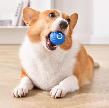 Palla giocattolo automatica per cani
